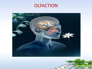OLFACTION
 