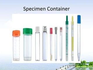 Specimen Container
 