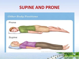 SUPINE AND PRONE
 