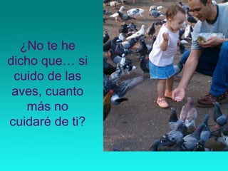 ¿No te he
dicho que… si
cuido de las
aves, cuanto
más no
cuidaré de ti?