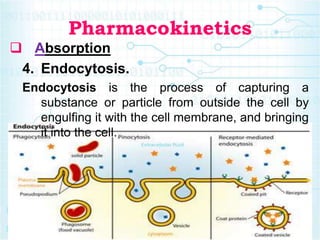 Pharmacokinetics
 Absorption
4. Endocytosis.
Endocytosis is the process of capturing a
substance or particle from outside the cell by
engulfing it with the cell membrane, and bringing
it into the cell.
 