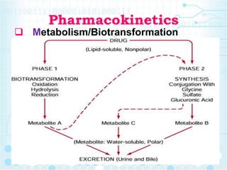It deals with:
Mechanism of action: the drugs produce
their effects by interacting with the
physiological systems of the o...