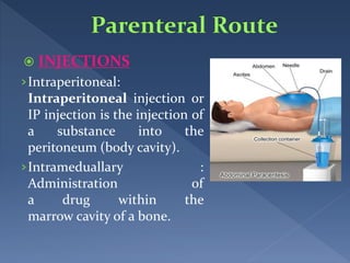 Intraperitoneal Injection Method Note introduction to pharmacology - 2 | PPTX
