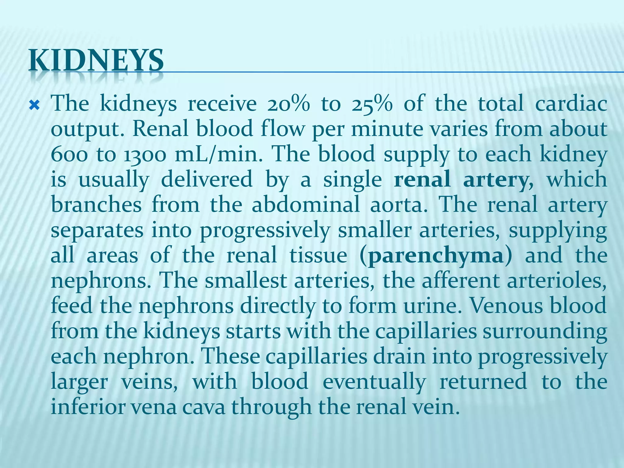 Kidney Output Numbers Note on assessment of renal or urinary system | PPTX