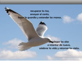 desplegar las alas
e intentar de nuevo,
celebrar la vida y retomar los cielos.
recuperar la risa,
ensayar el canto,
bajar la guardia y extender las manos,
 