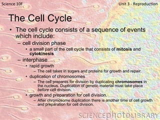 The Cell Cycle The cell cycle consists of a sequence of events which include: cell division phase a small part of the cell cycle that consists of  mitosis  and  cytokinesis interphase rapid growth  The cell takes in sugars and proteins for growth and repair. duplication of chromosomes The cell prepares for division by duplicating  chromosomes  in the nucleus. Duplication of genetic material must take place  before  cell division.  growth and preparation for cell division.  After chromosome duplication there is another time of cell growth and preparation for cell division. Science 10F   Unit 3 - Reproduction 