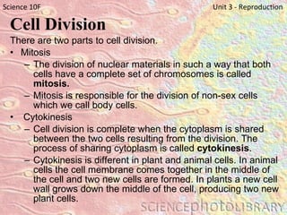 Cell Division There are two parts to cell division. Mitosis The division of nuclear materials in such a way that both cells have a complete set of chromosomes is called  mitosis. Mitosis is responsible for the division of non-sex cells which we call body cells.   Cytokinesis Cell division is complete when the cytoplasm is shared between the two cells resulting from the division. The process of sharing cytoplasm is called  cytokinesis . Cytokinesis is different in plant and animal cells. In animal cells the cell membrane comes together in the middle of the cell and two new cells are formed. In plants a new cell wall grows down the middle of the cell, producing two new plant cells. Science 10F   Unit 3 - Reproduction 