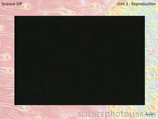 Science 10F   Unit 3 - Reproduction 15 minutes 