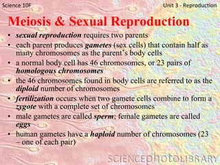 Meiosis & Sexual Reproduction sexual reproduction  requires two parents each parent produces  gametes  (sex cells) that contain half as many chromosomes as the parent’s body cells a normal body cell has 46 chromosomes, or 23 pairs of  homologous chromosomes the 46 chromosomes found in body cells are referred to as the  diploid  number of chromosomes fertilization  occurs when two gamete cells combine to form a  zygote  with a complete set of chromosomes male gametes are called  sperm ; female gametes are called  eggs human gametes have a  haploid  number of chromosomes (23 – one of each pair) Science 10F   Unit 3 - Reproduction 