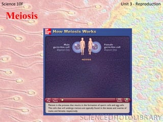 Meiosis Science 10F   Unit 3 - Reproduction 