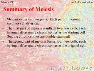 Summary of Meiosis Meiosis occurs in two parts.  Each part of meiosis involves cell division. The first part of meiosis results in two new cells, each having half as many chromosomes as the starting cell (but the chromosomes are double stranded) The second part of meiosis forms four new cells, each having half as many chromosomes as the original cell.  Science 10F   Unit 3 - Reproduction 