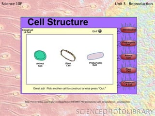http://www.wiley.com/legacy/college/boyer/0470003790/animations/cell_structure/cell_structure.htm Science 10F   Unit 3 - Reproduction 