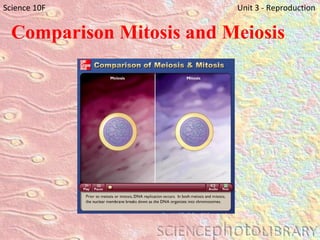 Comparison Mitosis and Meiosis Science 10F   Unit 3 - Reproduction 
