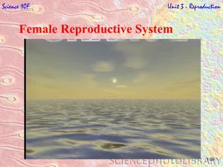 Female Reproductive System Science 10F   Unit 3 - Reproduction 1:04 