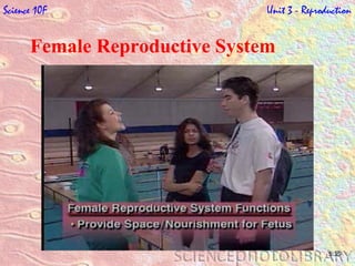 Female Reproductive System Science 10F   Unit 3 - Reproduction 5:35 