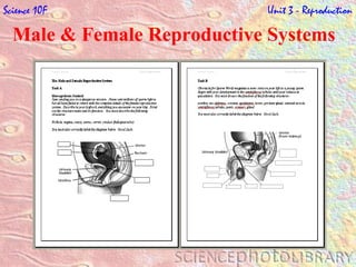 Male & Female Reproductive Systems Science 10F   Unit 3 - Reproduction 