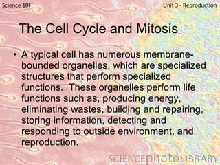 The Cell Cycle and Mitosis A typical cell has numerous membrane-bounded organelles, which are specialized structures that perform specialized functions.  These organelles perform life functions such as, producing energy, eliminating wastes, building and repairing, storing information, detecting and responding to outside environment, and reproduction. Science 10F   Unit 3 - Reproduction 