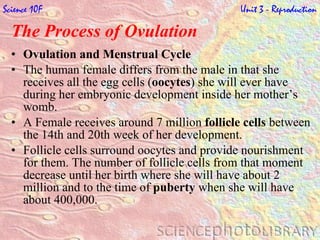 The Process of Ovulation   Ovulation and Menstrual Cycle The human female differs from the male in that she receives all the egg cells ( oocytes ) she will ever have during her embryonic development inside her mother’s womb.  A Female receives around 7 million  follicle cells  between the 14th and 20th week of her development.  Follicle cells surround oocytes and provide nourishment for them. The number of follicle cells from that moment decrease until her birth where she will have about 2 million and to the time of  puberty  when she will have about 400,000.  Science 10F   Unit 3 - Reproduction 