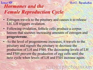 Hormones and the  Female Reproduction Cycle  Estrogen travels to the pituitary and causes it to release LH. LH triggers ovulation.  Following ovulation, follicle cells produce a corpus luteum that secretes increasing amounts of estrogen and  progesterone . As the level of progesterone increases, it travels to the pituitary and signals the pituitary to decrease the production of LH and FSH. The decreasing levels of LH and FSH prevent the production of egg cells until the next cycle when levels of LH and FSH increase again. Science 10F   Unit 3 - Reproduction 