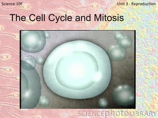 The Cell Cycle and Mitosis Science 10F   Unit 3 - Reproduction 