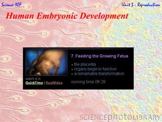 Human Embryonic Development   Science 10F   Unit 3 - Reproduction 