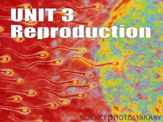 UNIT 3 Reproduction 