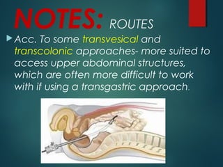 NOTES: ROUTES
Acc. To some transvesical and
transcolonic approaches- more suited to
access upper abdominal structures,
which are often more difficult to work
with if using a transgastric approach.
 