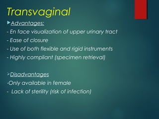 Transvaginal
Advantages:
- En face visualization of upper urinary tract
- Ease of closure
- Use of both flexible and rigid instruments
- Highly compliant (specimen retrieval)
Disadvantages
-Only available in female
- Lack of sterility (risk of infection)
 