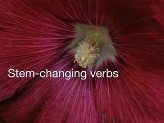Stem-changing verbs
 