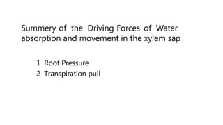 Summery of the Driving Forces of Water
absorption and movement in the xylem sap
1 Root Pressure
2 Transpiration pull
 