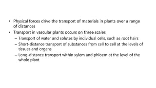 • Physical forces drive the transport of materials in plants over a range
of distances
• Transport in vascular plants occurs on three scales
– Transport of water and solutes by individual cells, such as root hairs
– Short-distance transport of substances from cell to cell at the levels of
tissues and organs
– Long-distance transport within xylem and phloem at the level of the
whole plant
 