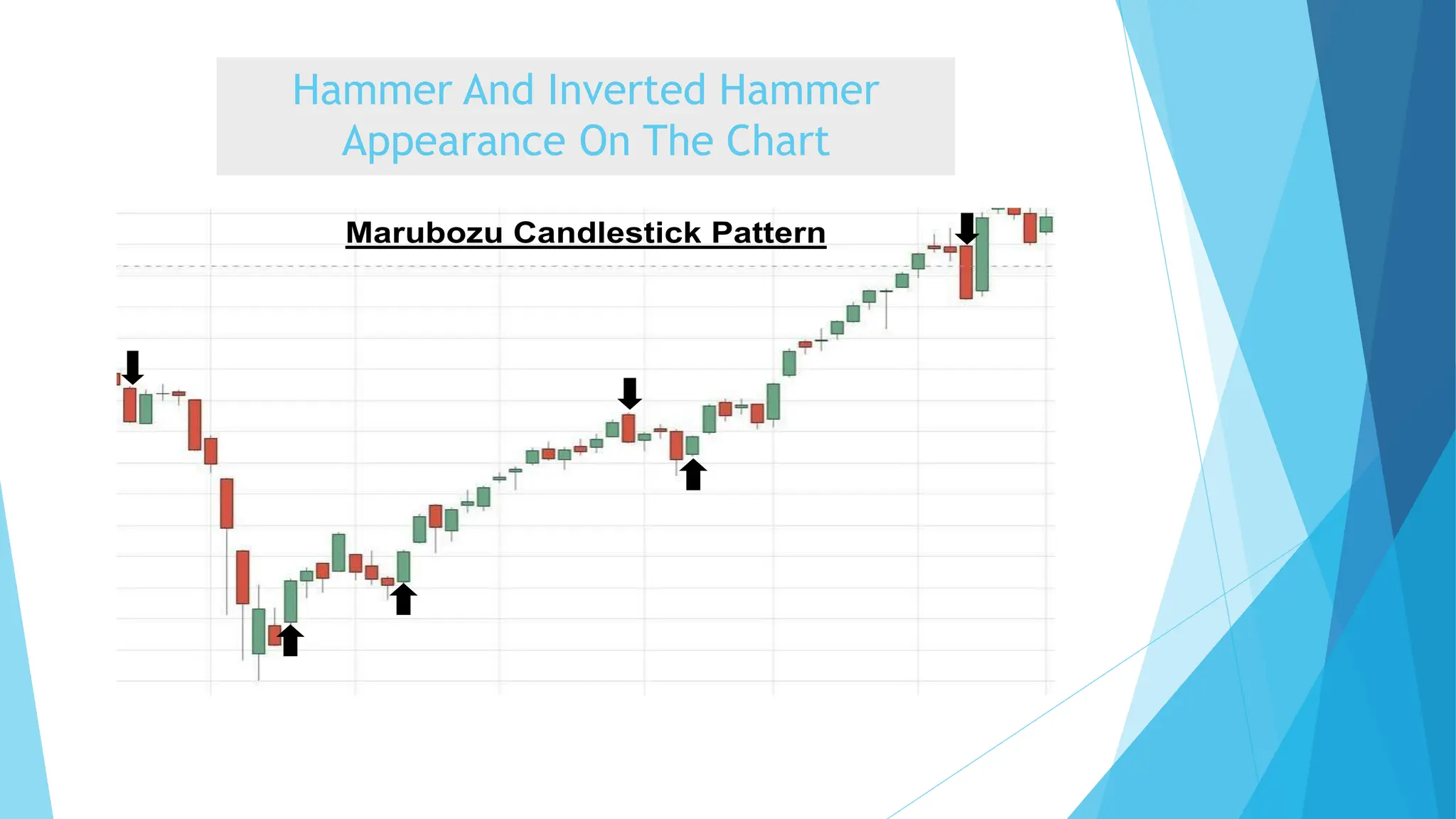 Hammer And Inverted Hammer
Appearance On The Chart
 