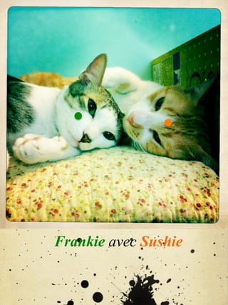 Frankie avec Sushie
 