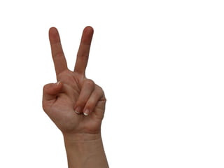 Developing for the GeoWeb: Notes From The Field Dev Summit 2009