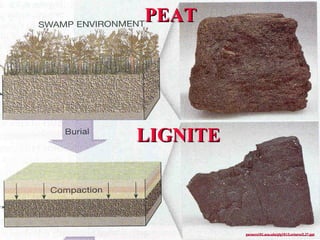 PEATPEAT
LIGNITELIGNITE
garnero101.asu.edu/glg101/Lectures/L37.pptgarnero101.asu.edu/glg101/Lectures/L37.ppt
 