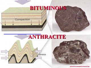 BITUMINOUSBITUMINOUS
ANTHRACITEANTHRACITE
garnero101.asu.edu/glg101/Lectures/L37.pptgarnero101.asu.edu/glg101/Lectures/L37.ppt
 