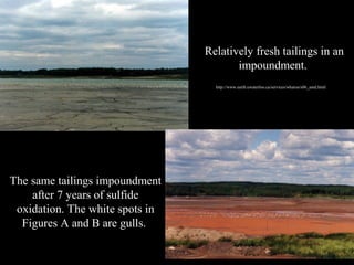 Relatively fresh tailings in anRelatively fresh tailings in an
impoundment.impoundment.
The same tailings impoundmentThe same tailings impoundment
after 7 years of sulfideafter 7 years of sulfide
oxidation. The white spots inoxidation. The white spots in
Figures A and B are gulls.Figures A and B are gulls.
http://www.earth.uwaterloo.ca/services/whaton/s06_amd.html
 