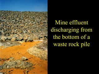 Mine effluent
discharging from
the bottom of a
waste rock pile
 
