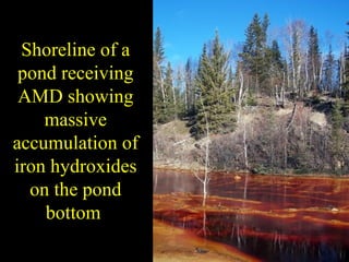 Shoreline of a
pond receiving
AMD showing
massive
accumulation of
iron hydroxides
on the pond
bottom
 