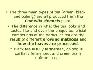 • The three main types of tea (green, black,
     and oolong) are all produced from the
            Camellia sinensis plant.
 • The difference in what the tea looks and
   tastes like and even the unique beneficial
    compounds of the particular tea are the
  result of different growing methods and
       how the leaves are processed.
  • Black tea is fully fermented, oolong is
      partially fermented, and green tea is
                   unfermented.
 