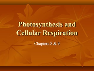 Photosynthesis and
Cellular Respiration
Chapters 8 & 9

 