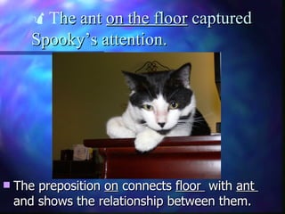  T he ant  on the floor  captured Spooky’s attention.   The preposition  on  connects  floor  with  ant   and shows the relationship between them. 