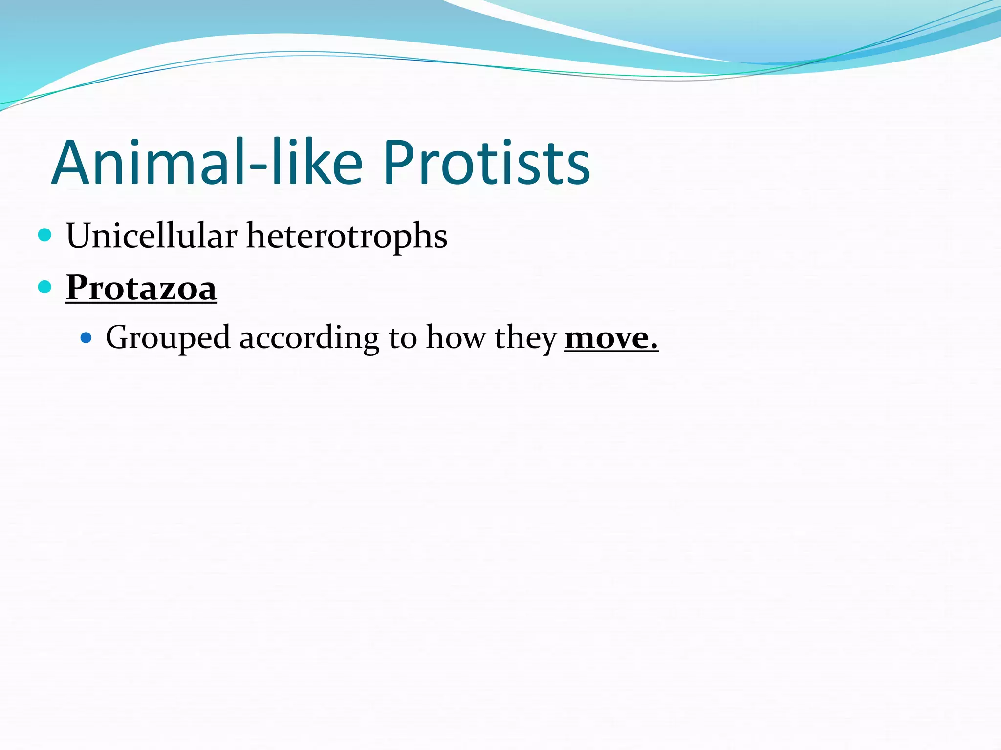 Animal-like Protists
 Unicellular heterotrophs
 Protazoa
 Grouped according to how they move.
 