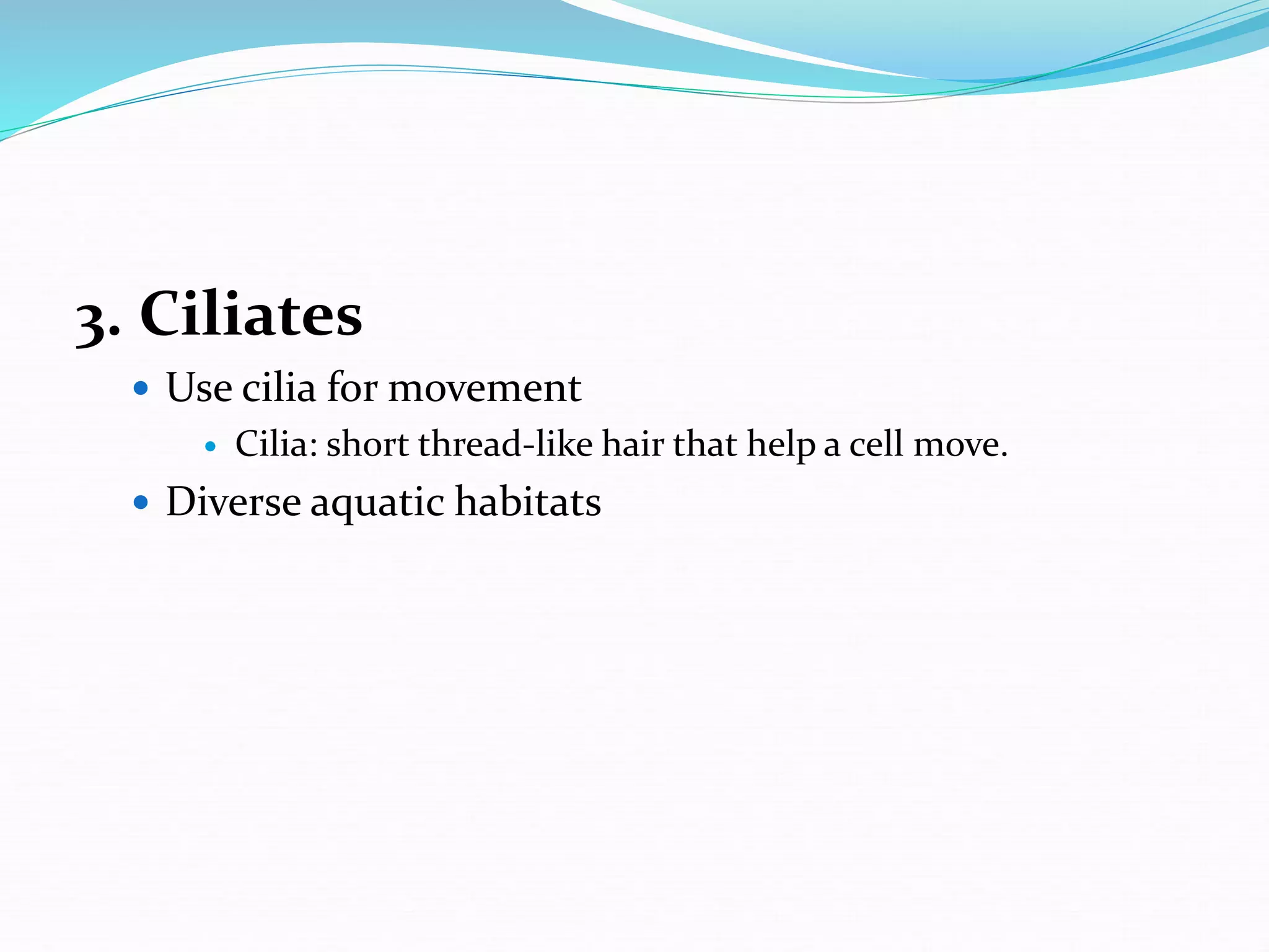 3. Ciliates
 Use cilia for movement
 Cilia: short thread-like hair that help a cell move.
 Diverse aquatic habitats
 
