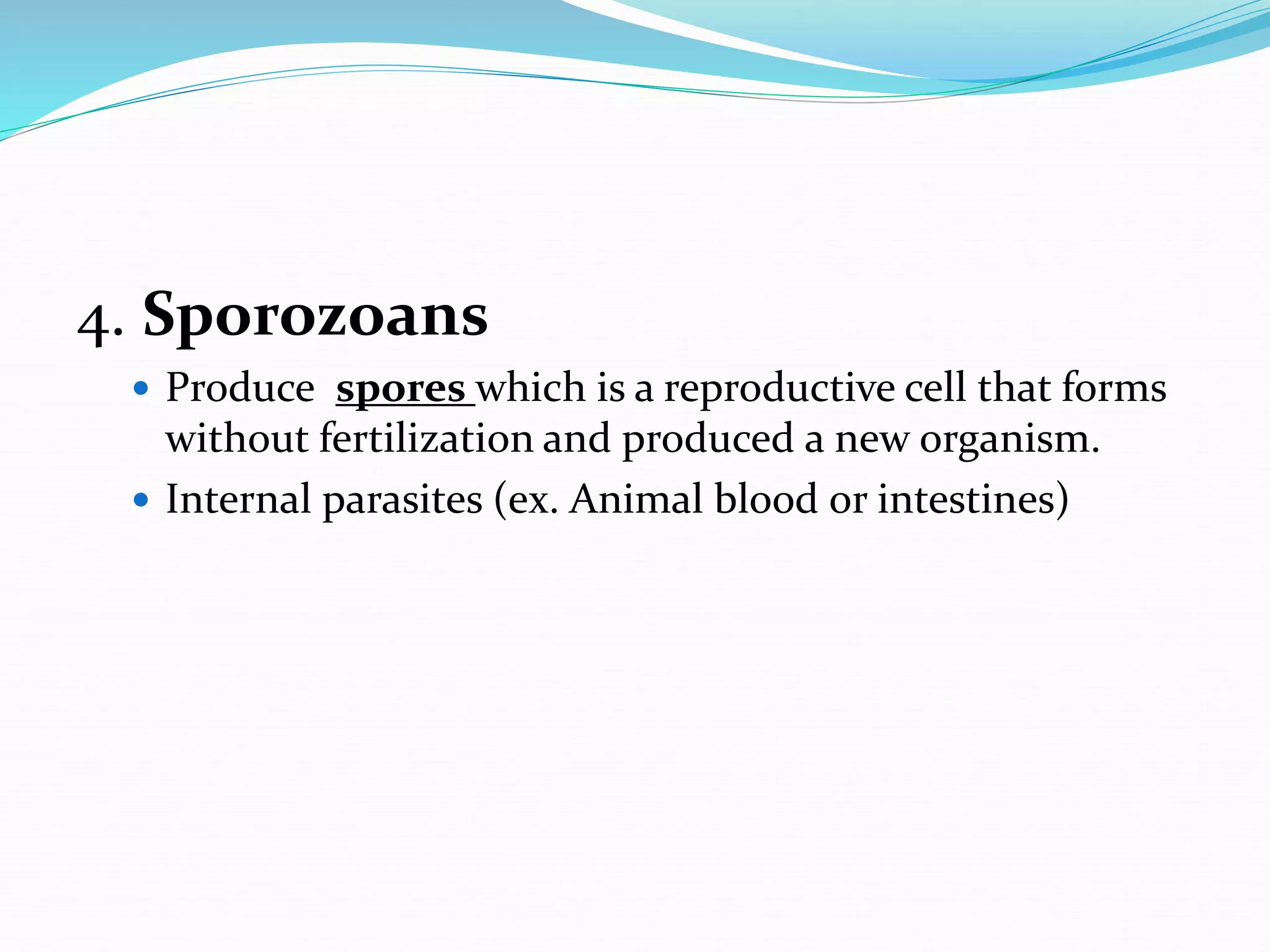 4. Sporozoans
 Produce spores which is a reproductive cell that forms
without fertilization and produced a new organism.
 Internal parasites (ex. Animal blood or intestines)
 