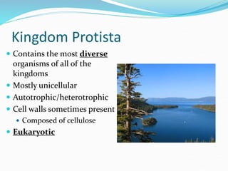 Kingdom Protista
 Contains the most diverse
organisms of all of the
kingdoms
 Mostly unicellular
 Autotrophic/heterotrophic
 Cell walls sometimes present
 Composed of cellulose
 Eukaryotic
 