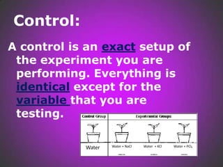 Control Experiment Science Notes scientific investigation | PPTX