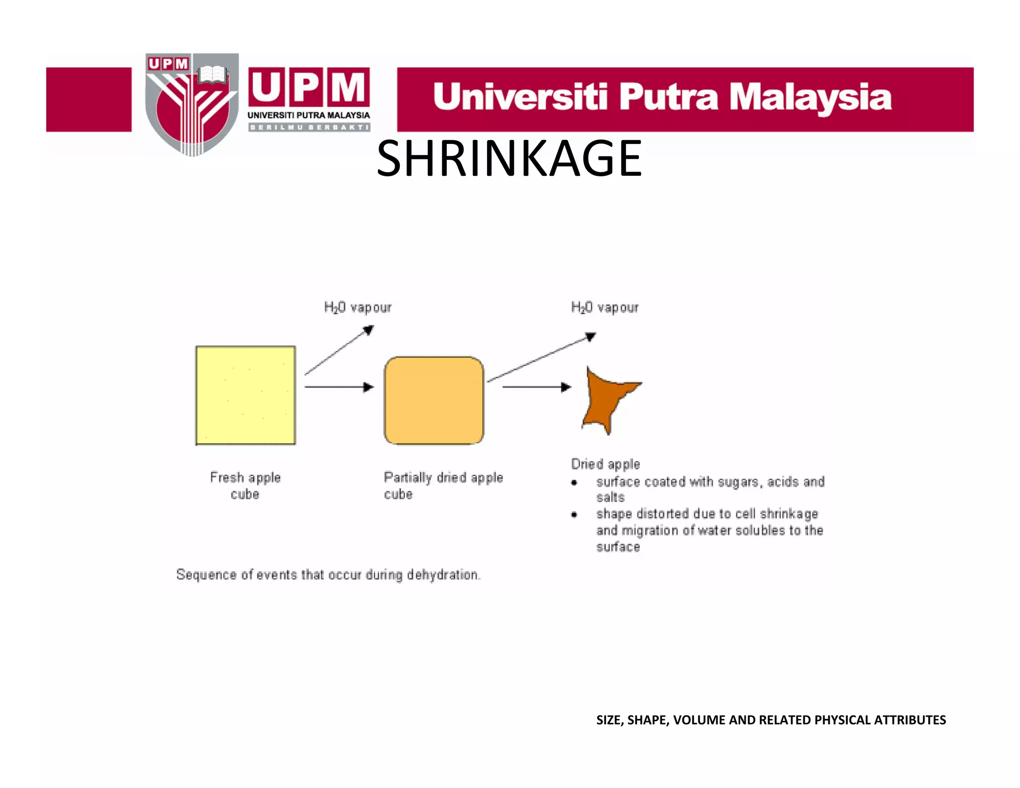 SHRINKAGE

SIZE, SHAPE, VOLUME AND RELATED PHYSICAL ATTRIBUTES

 