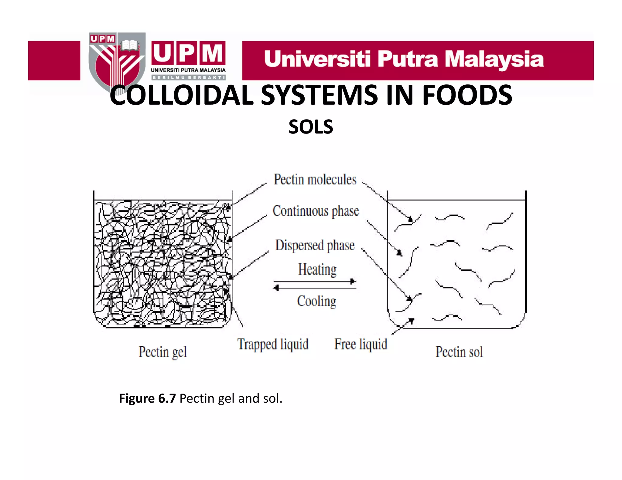 COLLOIDAL SYSTEMS IN FOODS
COLLOIDAL SYSTEMS IN FOODS
SOLS

Figure 6.7 Pectin gel and sol.

 