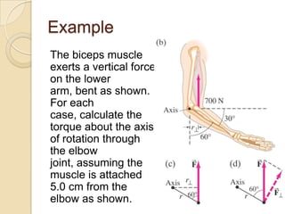 Example
The biceps muscle
exerts a vertical force
on the lower
arm, bent as shown.
For each
case, calculate the
torque about the axis
of rotation through
the elbow
joint, assuming the
muscle is attached
5.0 cm from the
elbow as shown.
 